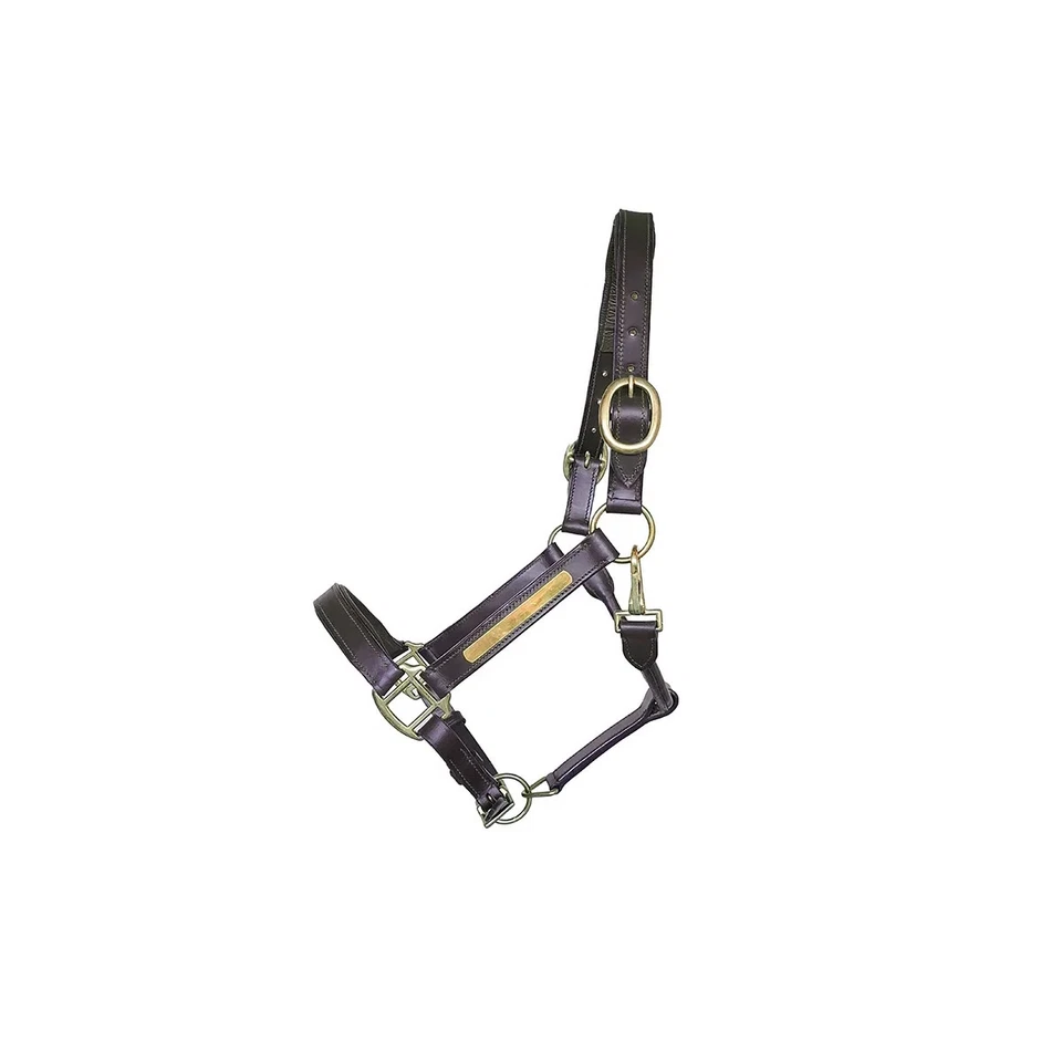 EDWIN BECKER GMBH Lederhalfter mit individueller Gravurmöglichkeit, hochwertig, komfortabel braun