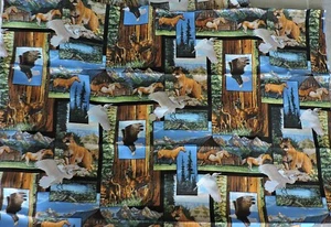 100% Cotton Fabric - Outdoor Scenic Collage of the U.S.A. - By The Yard - Picture 1 of 5