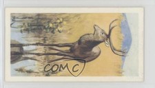 1963 Brooke Bond Wildlife in Danger Tea #14 1i3