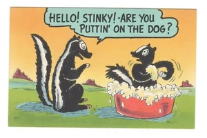 Comic Cartoon SKUNK Humor Hello Stinky Unused Vintage Postcard A103 - Picture 1 of 2