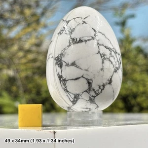 Howlite Egg for Pain Relief - Spiritual Healing Crystal Mineral Stone - Picture 1 of 1