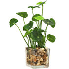 Faux Lotus in Glass Pot with Rocks - Decorative Artificial Greenery