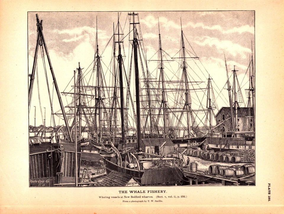 VASOS BALLENEROS EN NEW BEDFORD, MASS. CUERVAS, MÁSTILES DE VELA Grabado antiguo 1887 Foto 1 de 1