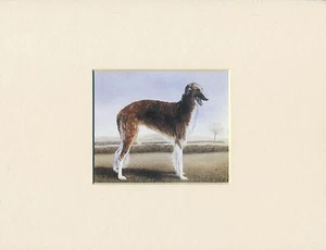 BORSOI SCHÖNES KLEINES EXLIBRIS HUND DRUCK FERTIG MONTIERT - Bild 1 von 1