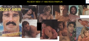 PLAYGIRL SEXY MEN ROCK PAMPLIN HAIRY TONY STEPHANO SAM JONES DAVID WHITE SEXY M - Picture 1 of 3
