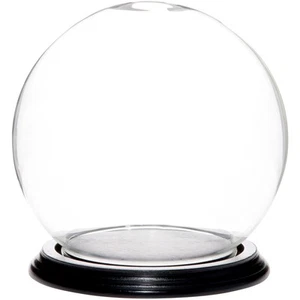 Plymor 6" x 7" Glass Display Dome Globe Cloche (Black Wood Veneer Base) - Picture 1 of 2