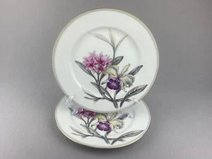 2 Grace Porzellan Charleston Muster Speiseteller Vintage - Bild 1 von 6