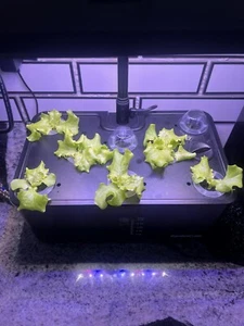 Hydroponics Growing System Indoor Garden: Herb Garden Kit Indoor with LED Grow - Picture 1 of 7