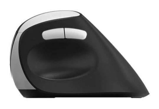 6940056135315 EV250 ergonomic mouse black RAPOO