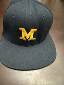 Michigan Wolverines Vintage Cap DeLong  7 1/2 Fitted Wool Blend NCAA EUC - Picture 1 of 4
