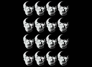 Fierce Skull 16 pcs White Fused Glass Decals - Picture 1 of 2