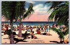 Miam Beach Florida Oceanfront Tropical Palms Shoreline Ocean Coast Vng Postcard