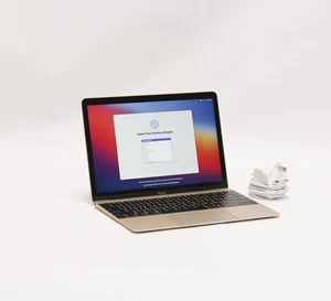 12-inch Apple Macbook "Core M" 1.1GHz 8GB RAM 256GB SSD A1534 Early 2015 25058 - Afbeelding 1 van 17