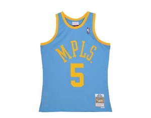 Mitchell & Ness Swingman Alternate Lakers 01-02 Robert Horry Basketball Trikot - Bild 1 von 6