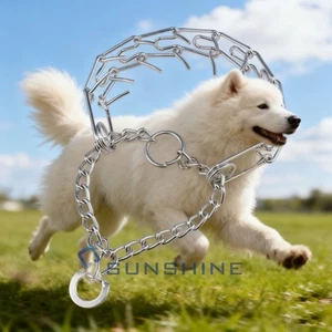 Bite-proof Chain Dog Training Collar Pinch Prong Choke Neckband For Guardian Dog - Picture 1 of 16
