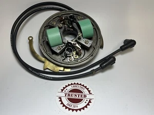 Johnson Evinrude Rebuilt Ignition Magneto 1950s-1960s 10, 15, 18 HP NEW Tested - Picture 1 of 5