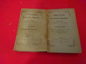 KIRSCHLEGER (Fréd.) - Flore d'Alsace et des contrées limitrophes - Tome I et II. - Imagen 1 de 4