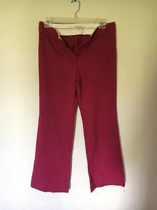 Pantalón Ann Taylor Loft Talla 10 Magenta Formal Mujer Elegante Corte Moderno - Imagen 1 de 2
