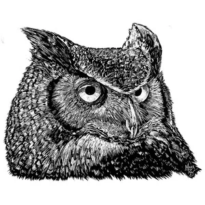 Decal Vinyl Sticker Great Horned Owl - Pen & Ink Made in USA - Picture 1 of 1