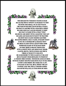 BEDLINGTON TERRIER LOVELY POEM A4 SIZE DOG ART PRINT POSTER - Picture 1 of 1