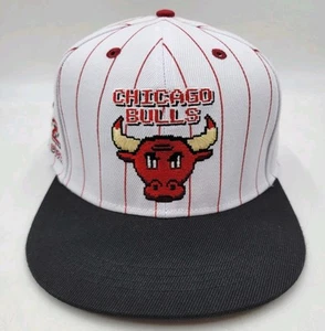 2024-2025 Chicago Bulls SnapBack Art Hat BMO SGA NUOVO Martellus Bennett 8 bit - Foto 1 di 9