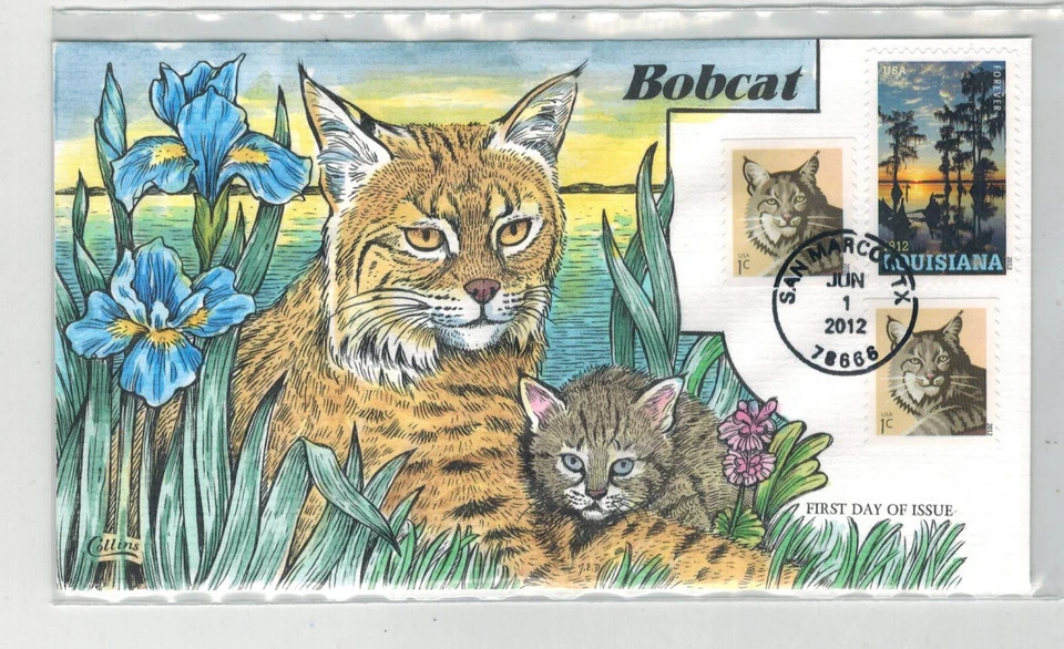 2012 COLLINS HANDPAINTED 4667 BOBCAT CATS WILDLIFE NICE! & LOUISIANA - Image 1 of 1