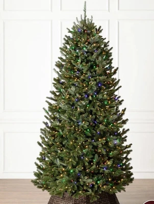 Balsam Hill Fraser Fir Narrow 6.5 Clear LED - Image 1 of 2