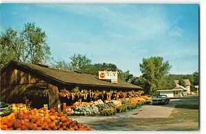 Greenfield, MA - Mascot Farms Roadside Vegetable Stand - Pumpkins - Vtg Postcard - Picture 1 of 2