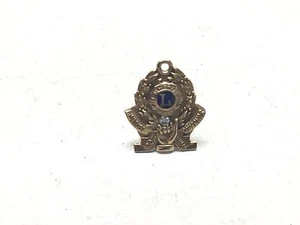 Vintage Lions Club International 10k Gold & Diamond District Governor Pin - Picture 1 of 6