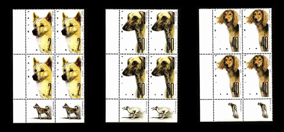 ISRAEL 1987 WORLD DOG SHOW - SALUKI/SLOUGHIE/CANAAN #965-967 TAB BLOCKS MNH LT - Image 1 of 1