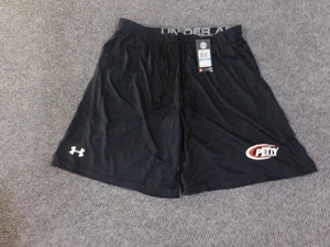 Richard Petty Motorsports Shorts Mens XL NASCAR Racing HeatGear Under Armour - Picture 1 of 11