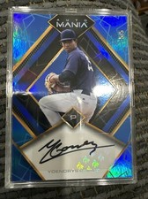 2023 WILD CARD YOENDRYS GOMEZ AUTO 5/5 Jersey Color Match