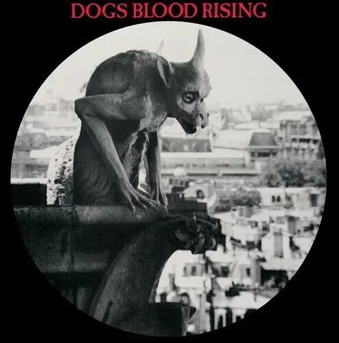 Current 93 : Dogs Blood Rising VINYL 12" Album Picture Disc (2024) mint sealed * - Image 1 of 2