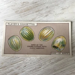Players Cigarettes Card Hidden Beauties 25 Eggs Of Sorts Common Clothes Moth Egg - Picture 1 of 5