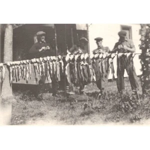 Early 1911 RPPC REAL PHOTO Postcard - FISHERMEN Display their Fish - Picture 1 of 3