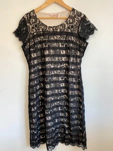 Millers Cotton Dress Womens Size 14 Black Beige Lace Cap Sleeve Round Neck Lined - Bild 1 von 15