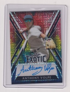 ANTHONY VOLPE 2023 LEAF EXOTIC BASEBALL AUTO AUTOGRAPH CARD #D 4/7 YANKEES