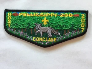 Pellissippi Lodge 230 2007 Conclave Host pocket flap - Picture 1 of 1