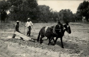Mexico Farming Mule Horse Field Men Plow Real Photo Postcard - Picture 1 of 5