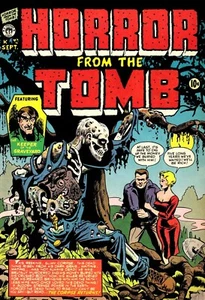 THE COMPLETE PREMIER MAGAZINES COMIC BOOK COLLECTION ON DVD ROM GOLDEN-AGE - Picture 1 of 24
