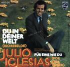 Julio Iglesias - Du In Deiner Welt 7" (Vg/Vg) .