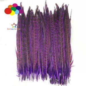 10 pcs/lot natural dyed pheasant tail feathers 25-35cm wedding decoration plumas