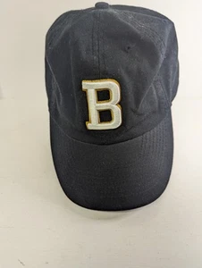 Dale Earnhardt #3 Vintage Budweiser NASCAR Racing Strap SnapBack Sport Mütze Kappe - Bild 1 von 12