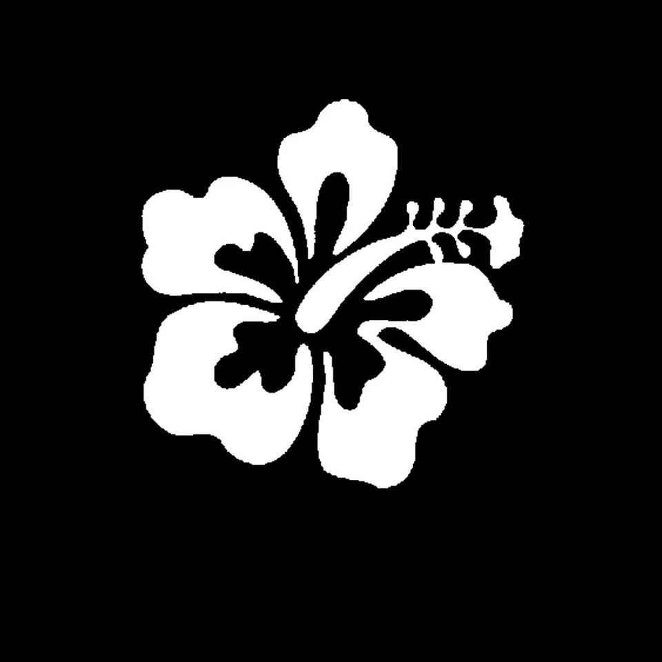 Calcomanía Flor Hawaiana Blanca Hecha con Vinilo Oracal para Coches Ventanas Motocicletas  Foto 1 de 2
