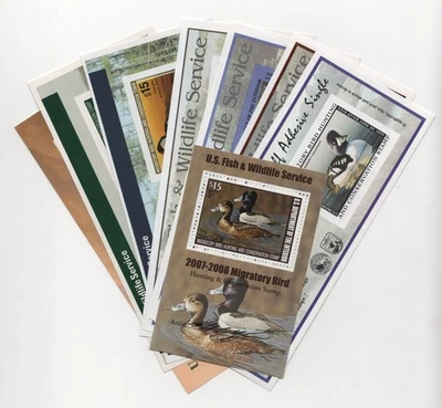 EE. UU. 1999-2007 FEDERAL CAZA DE PATOS 8 SELLOS CADA UNO VALOR NOMINAL DE $15 COMO NUEVO NUNCA BISAGRAS Foto 1 de 4