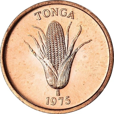 Tonga | 1 Seniti Coin | Corn | Pig | FAO | Km:42 | 1975 - 1979 - Image 1 of 4