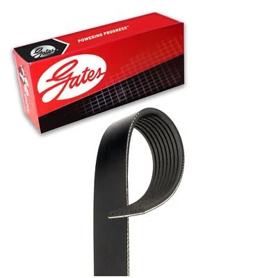 Supercargador Gates Serpentine Belt para Ford F-150 1999-2004 Foto 1 de 4