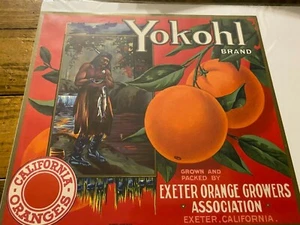 Vintage Unused Yokohl Brand Oranges Exeter California Crate Label NOS - Imagen 1 de 1
