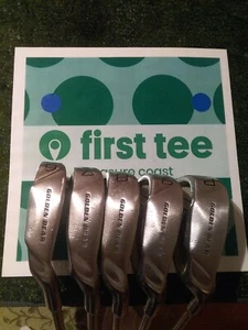 Golden Bear Ladies Irons Set 6-PW Wide Body Graphite Shafts  - Picture 1 of 9