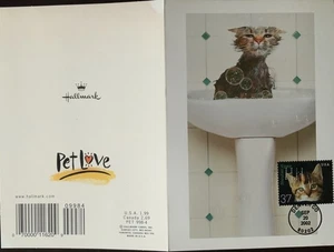 HNLP Hideaki Nakano 3670 Cat Greeting Card See Someone Knows How You Feel #13 - Picture 1 of 2